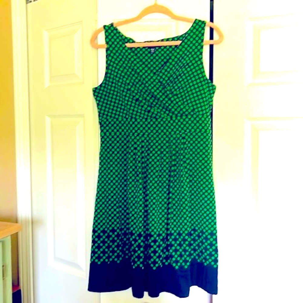 Lands End dress